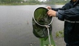 爆料如皋钓鱼视频最新,揭秘最新钓鱼视频背后的精彩瞬间